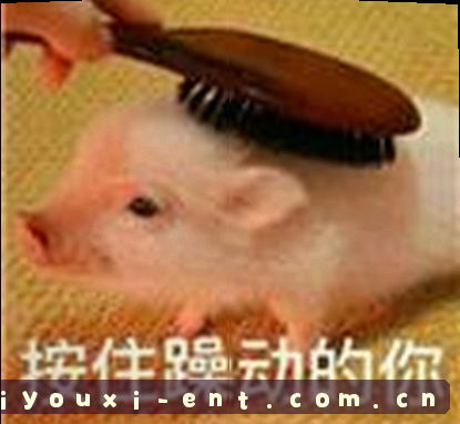 刘洋
